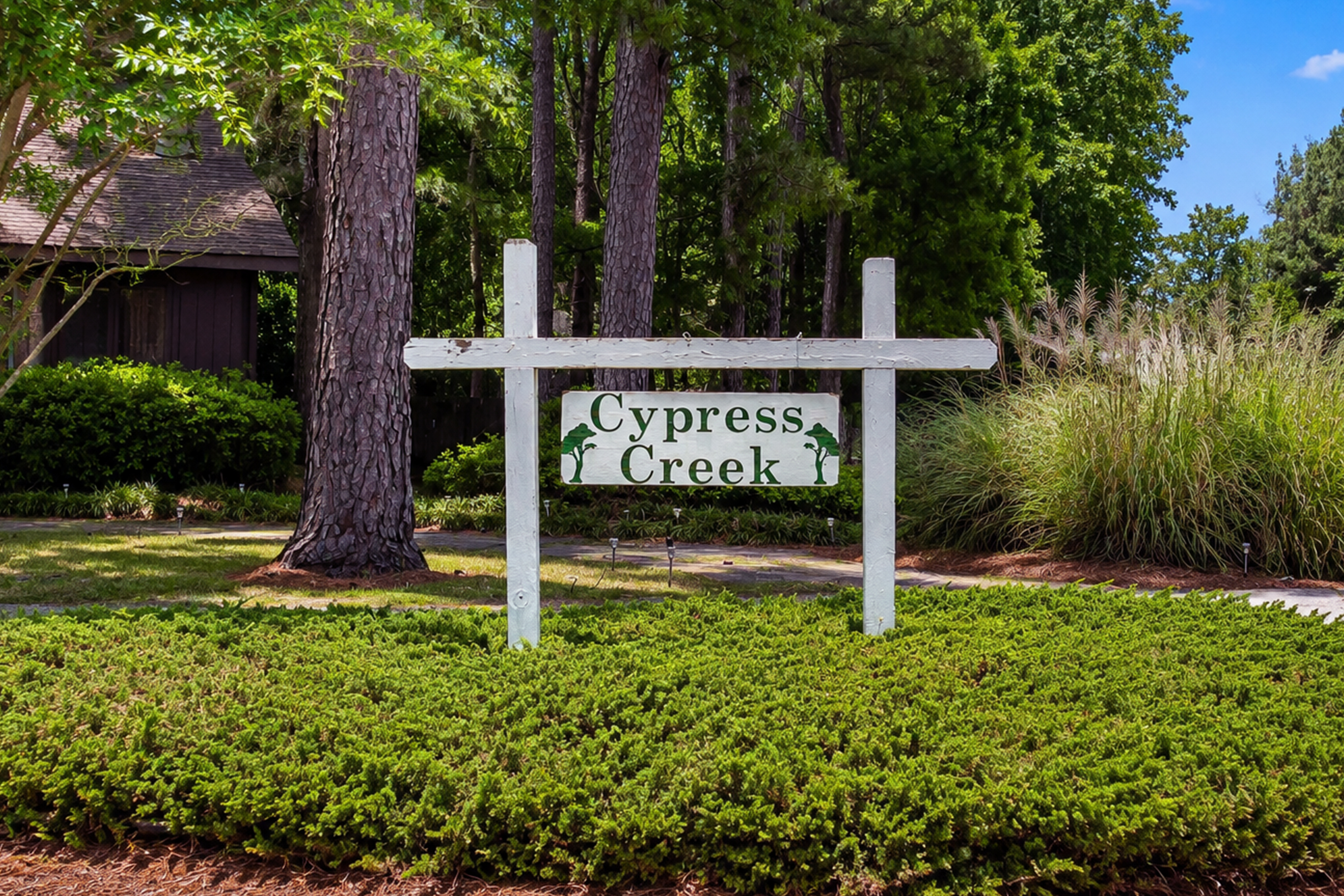 Cypress Creek