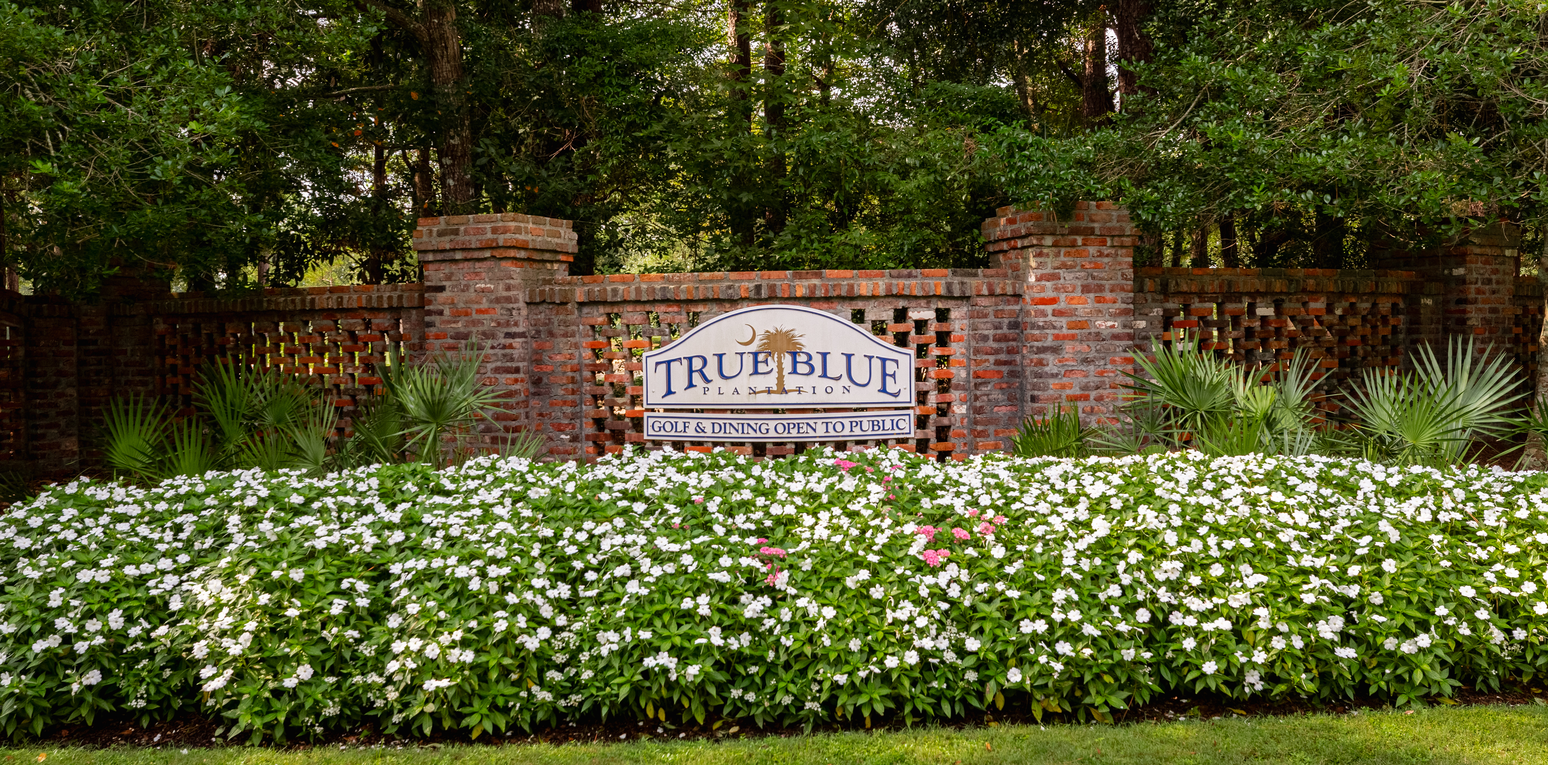 True Blue